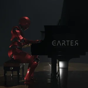 Le Pianiste 3D