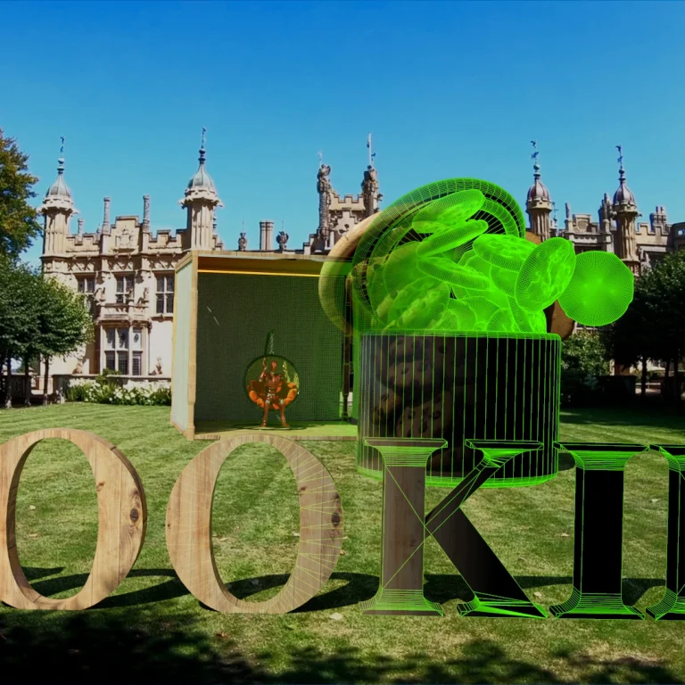 CGI Cookies